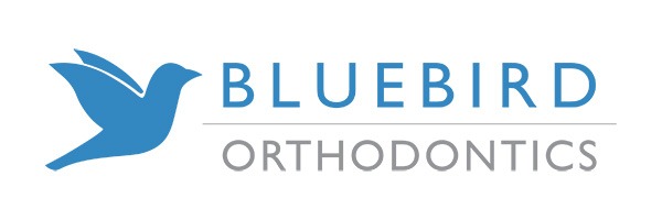 Bluebird Orthodontics